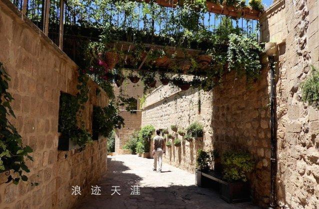逃离荒凉的地方