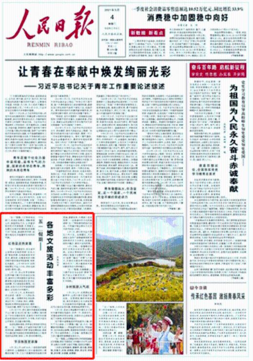 拯救穆尔小马