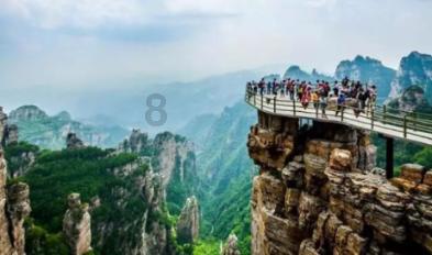 梦想的后院